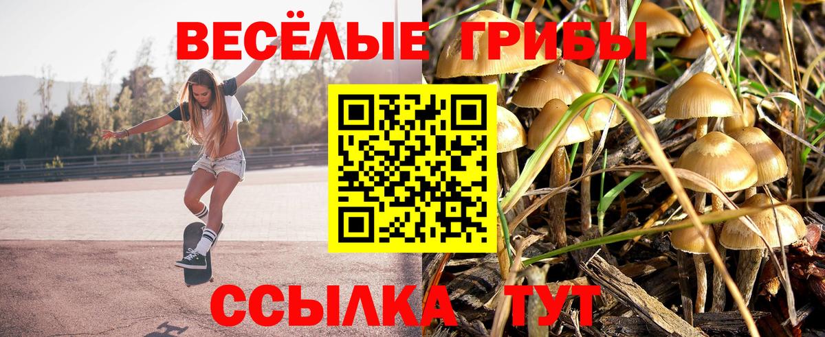 Галлюциногенные грибы прущие грибы Острогожск