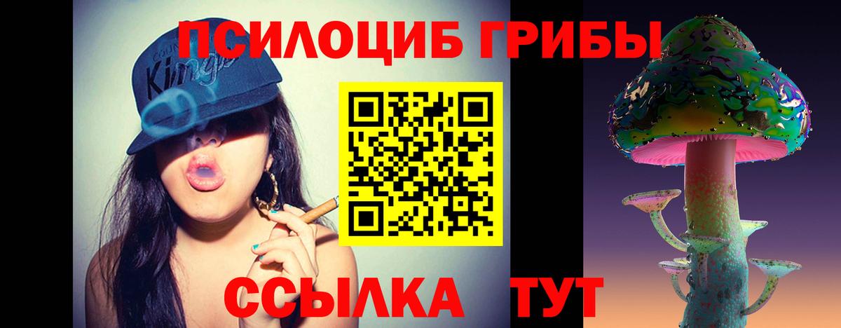 Острогожск  Псилоцибиновые грибы ЛСД  Вход с VPN 